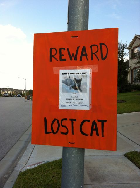  Stay aware: Posting a reward on the poster could make you a target for scammers.  Photo Credit:  Austin Cat Detective 
