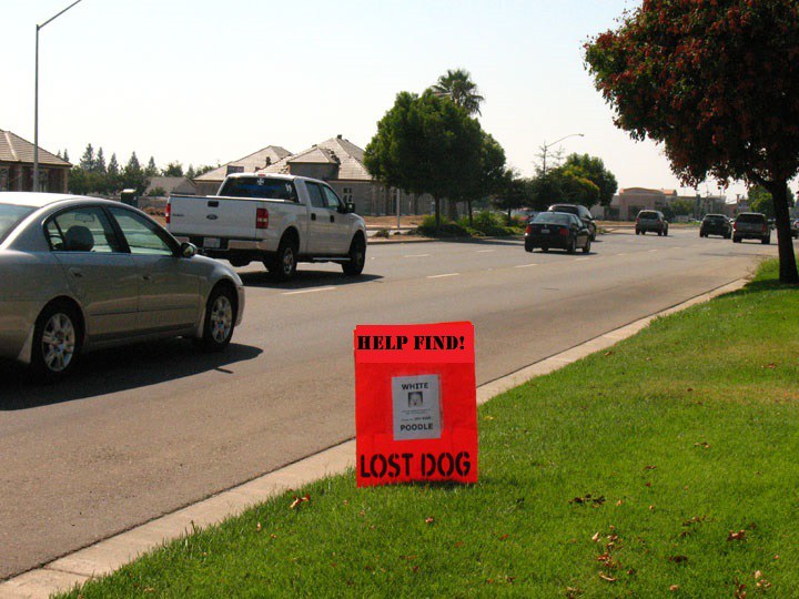  Place your posters near the escape point and in high traffic areas to increase exposure.  Photo Credit: Missing Pet Partnership 