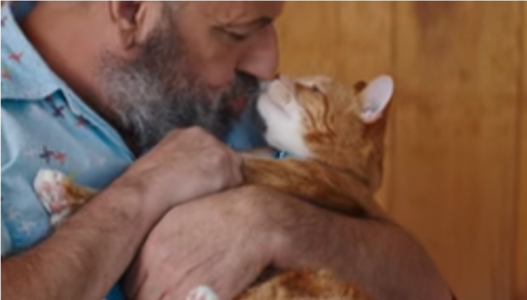 Keyboard Cat / The Shelter Pet Project