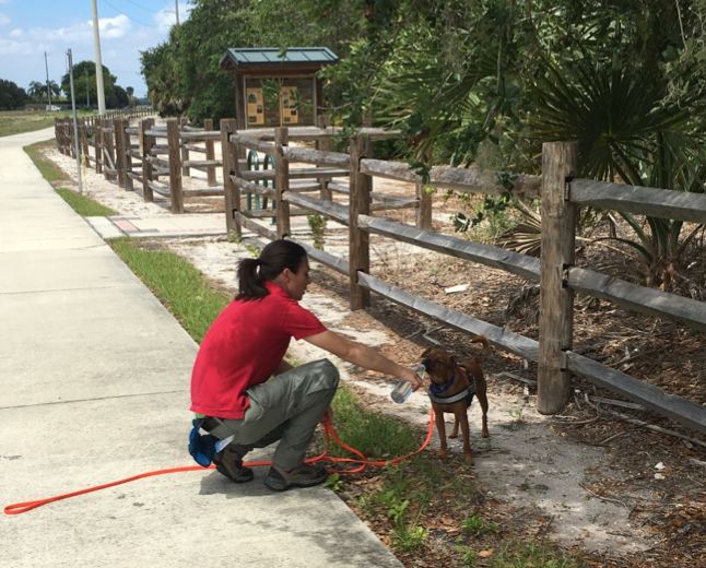 Katz and Fletcher out on the scent trail