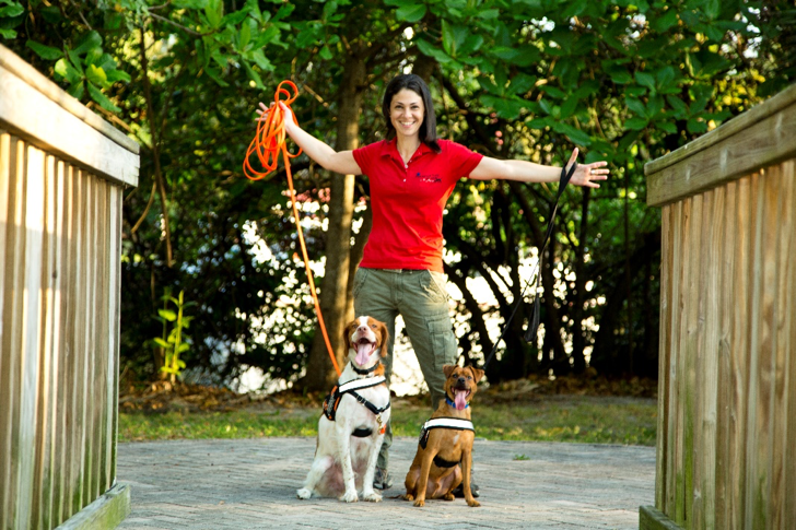 Katz, Gable and Fletcher tackle the lost pet problem, one case at a time