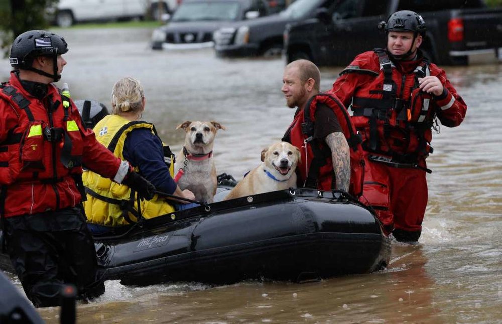  Photo Courtesy of Melissa Phillip via Houston Chronicle 