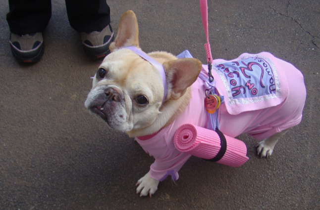  Photo Credit: istolethetv via flickr 