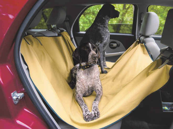  Photo Credit:&nbsp; Filson Co, 