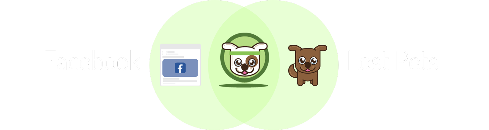 Facebook Ads + Lost Pets