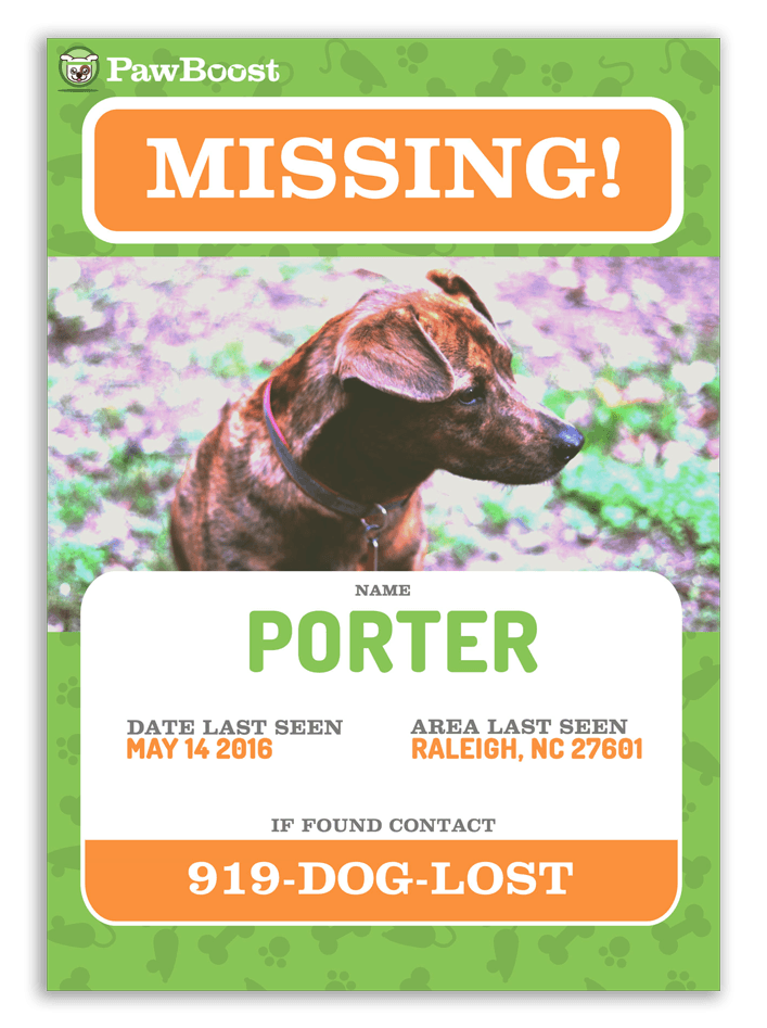 Lost Dog Flyer Template Sign Up For Local Lost Pet Alerts Pawboost