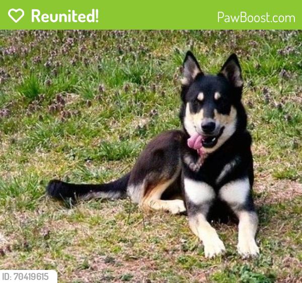 Reunited Unknown Dog last seen Jefferson st and magnolia, Riverside, CA 92501