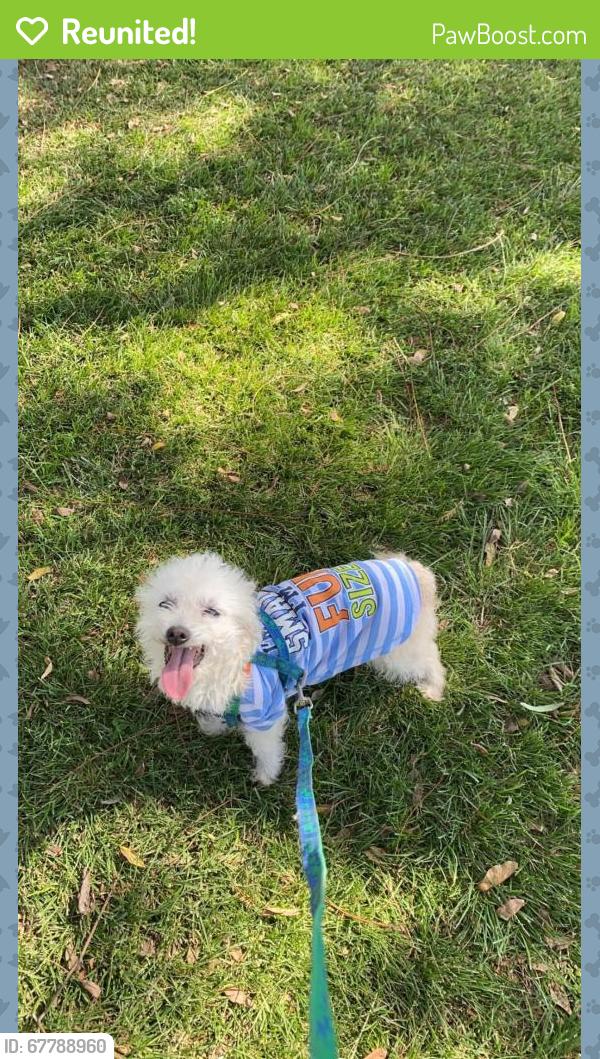 Reunited Female Dog last seen Bullis, Lynwood, CA 90262