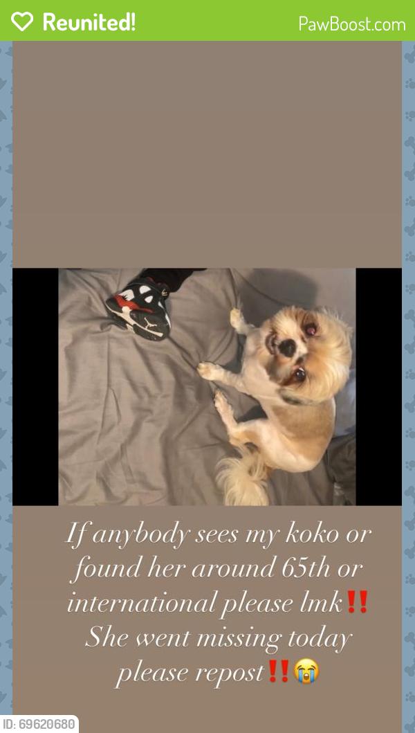 Reunited Female Dog last seen Near 65th ave Oakland,ca 94621, Oakland, CA 94621