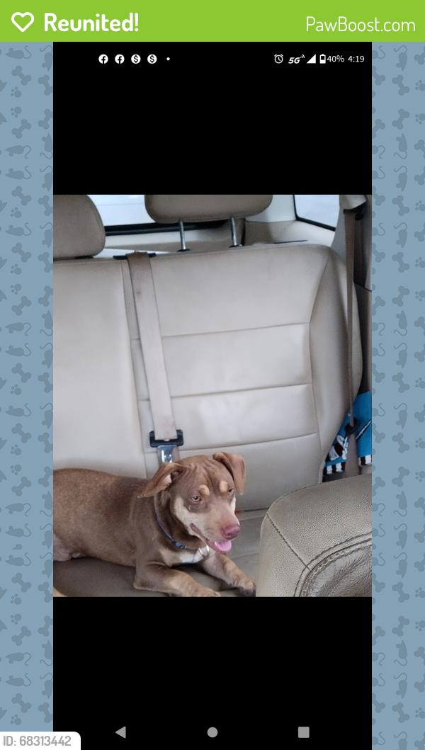 Reunited Male Dog last seen 20th and Delgado st, San Antonio, TX 78207