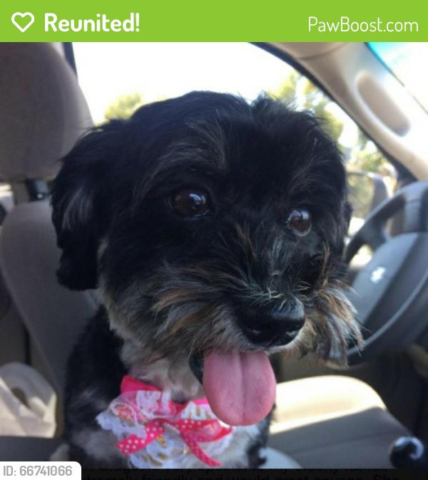 Reunited Female Dog last seen HARBISON, National City, CA 91950