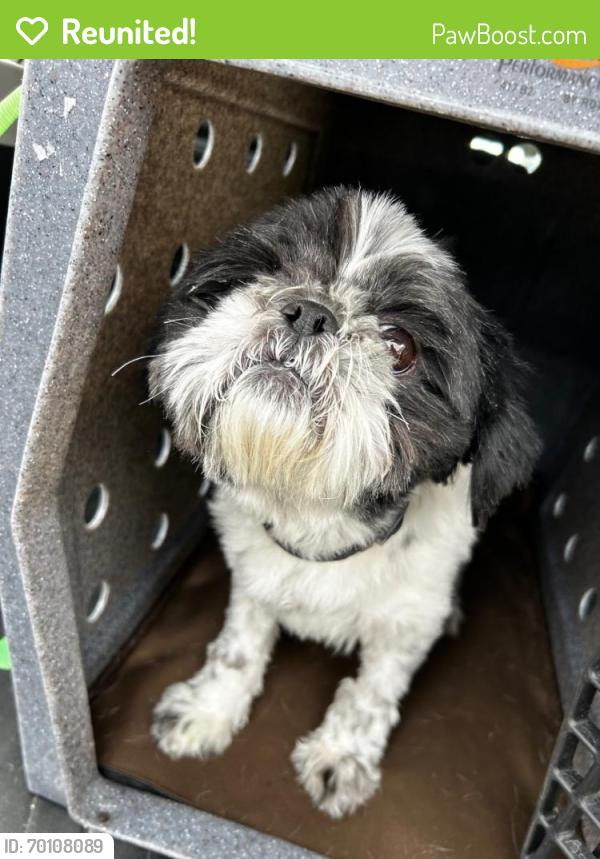 Reunited Male Dog last seen Found near City Park., Denver, CO 80204