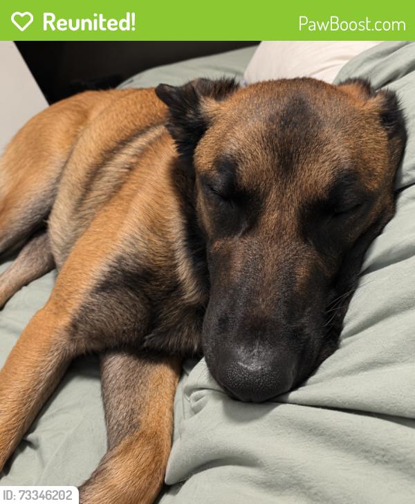 Reunited Male Dog last seen Walker road and Walden area, Colorado Springs, CO 80908