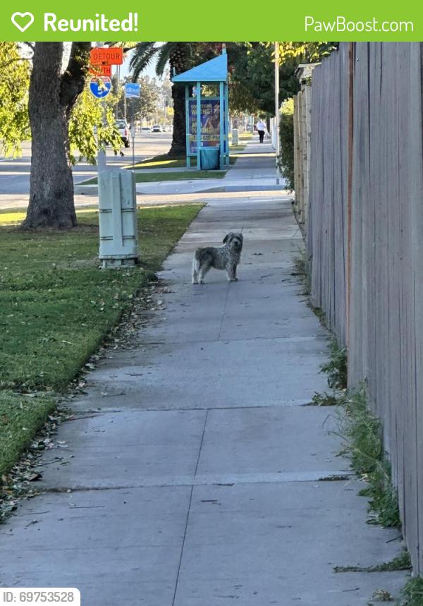Reunited Unknown Dog last seen Near N Hermosa Dr, Anaheim, CA 92801, USA, Anaheim, CA 92801