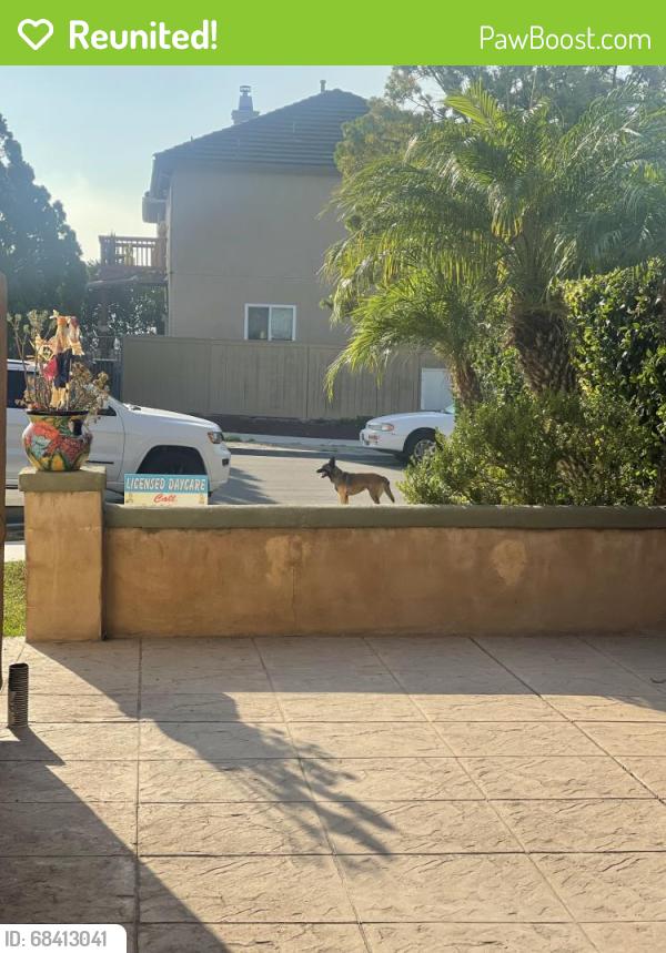 Reunited Unknown Dog last seen Vista santa Rosalia, San Diego, CA 92154