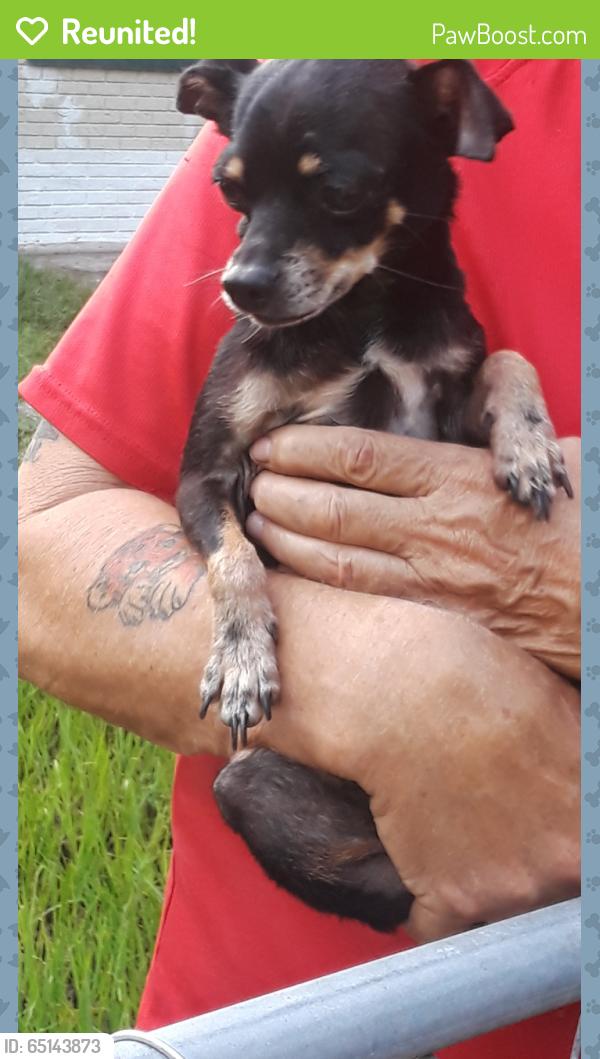 Reunited Male Dog last seen Near Oakhill St & Clay Pit Rd, Seffner, FL 33584