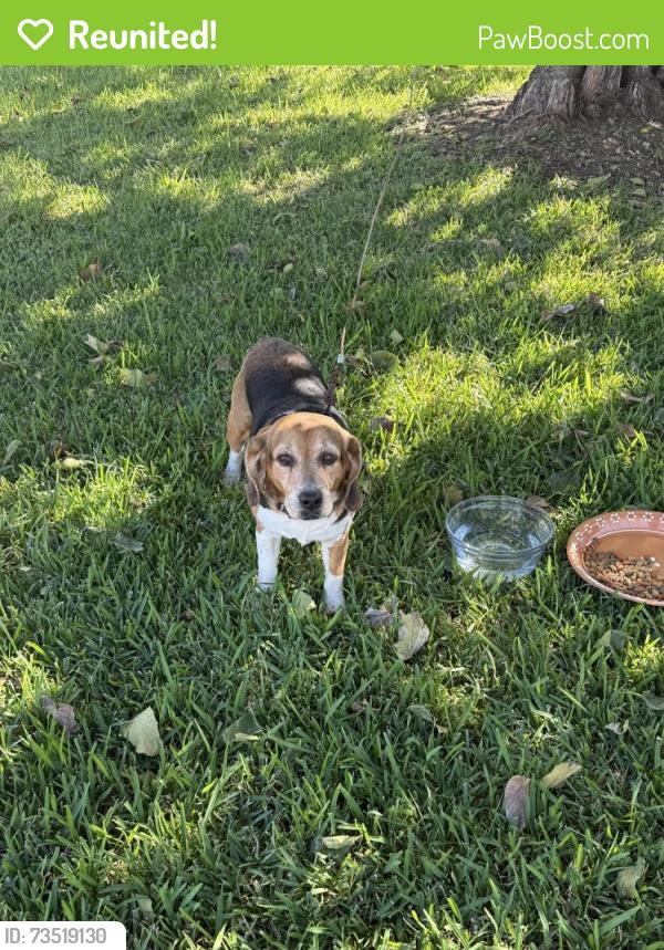 Reunited Female Dog last seen VALLEY PKWY, FOX AVE, Lewisville, TX 75067