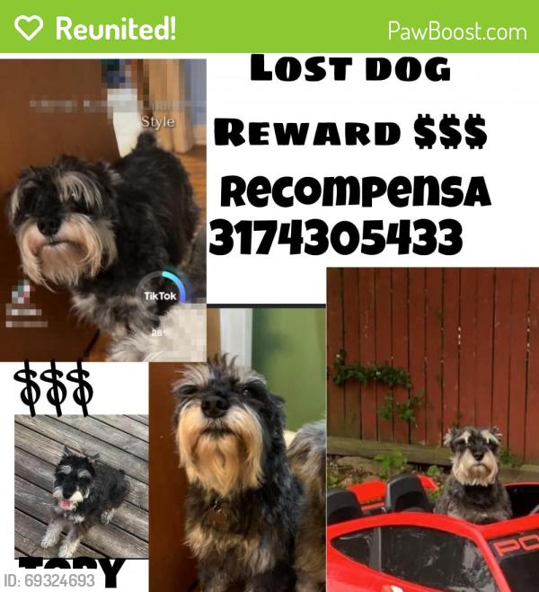 Reunited Male Dog last seen W 16 th st n tibbs ave, Indianapolis, IN 46222