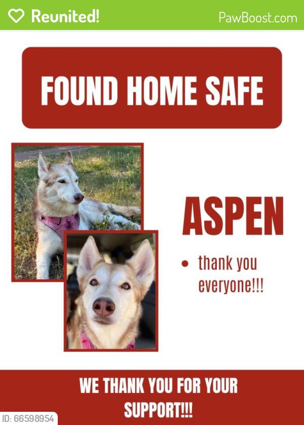 Reunited Unknown Dog last seen 13th and Emproia st, Aurora, CO 80010