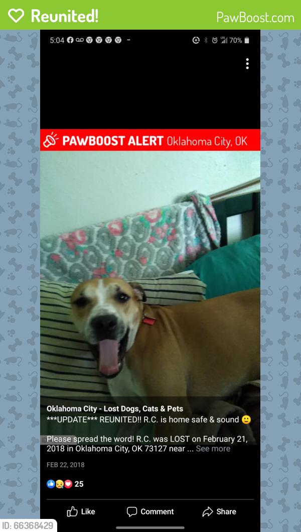 Reunited Male Dog last seen NW 36th and Portland off i44, Oklahoma City, OK 73112