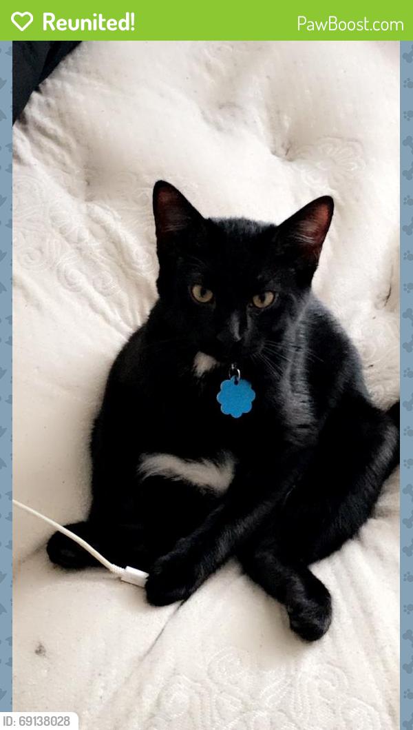 Reunited Male Cat last seen Oralabor rd, deleware ave, ankeny blvd, Ankeny, IA 50021