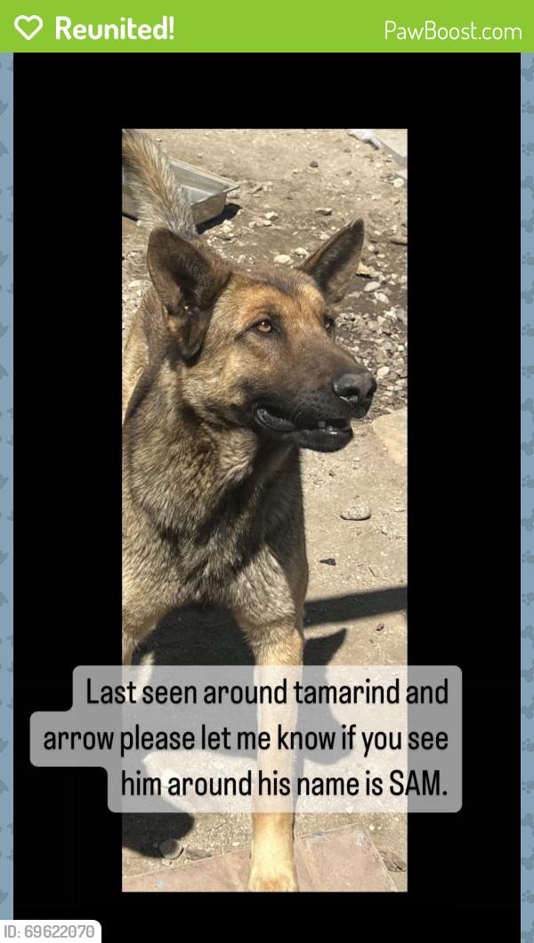 Reunited Male Dog last seen Fontana, CA, USA, Fontana, CA 92335