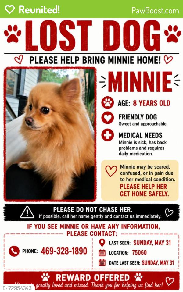 Reunited Female Dog last seen Near knob Oak ct, Irving, TX 75060