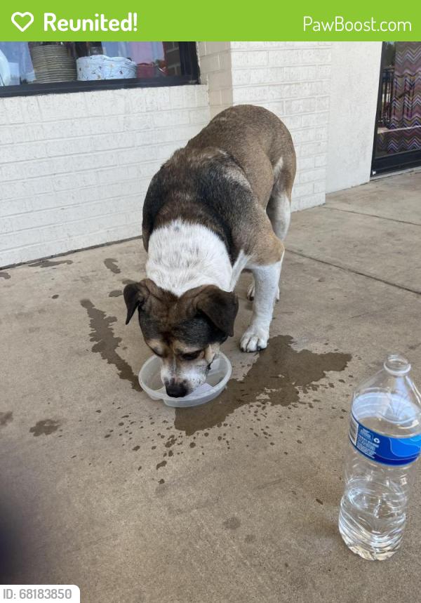 Reunited Male Dog last seen East board, Mansfield, TX 76063