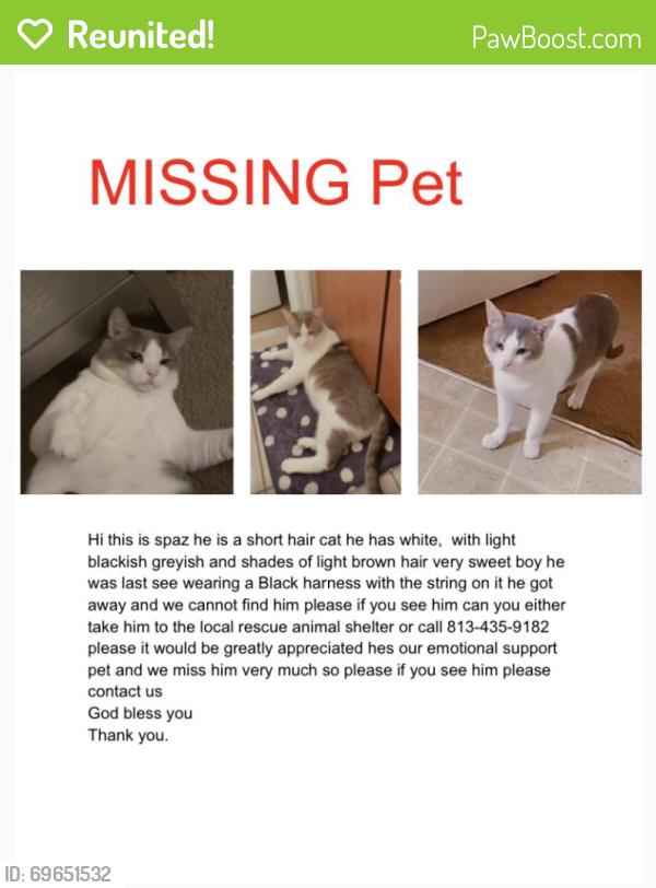 Reunited Male Cat last seen Grande oaks apmts, Margate, FL 33063