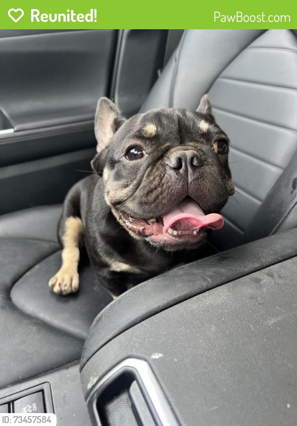 Reunited Unknown Dog last seen Near railroad tracks, Mansfield, TX 76063