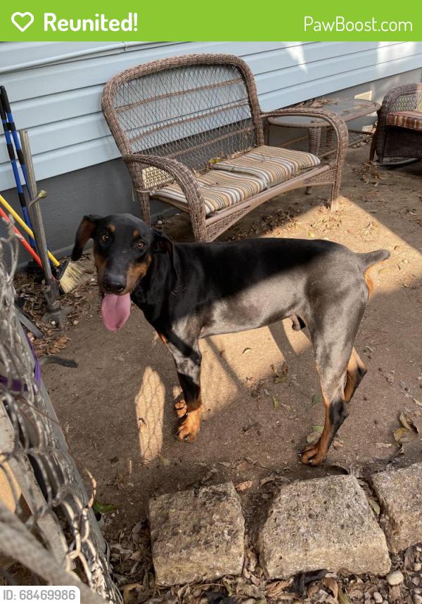 Reunited Male Dog last seen Lancaster and Handley , Fort Worth, TX 76112