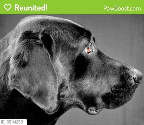 Reunited Unknown Dog last seen Near Giovani Bv & Pizzaro Pl, Clermont, FL 34715