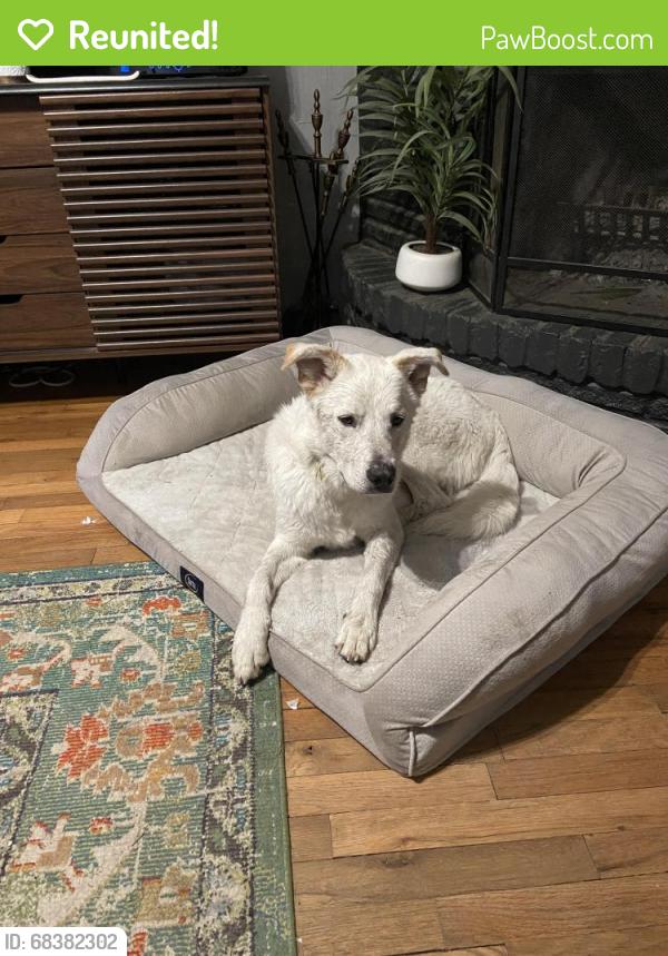 Reunited Female Dog last seen Robinwood Dr, Fort Worth, TX 76111, USA, Fort Worth, TX 76111