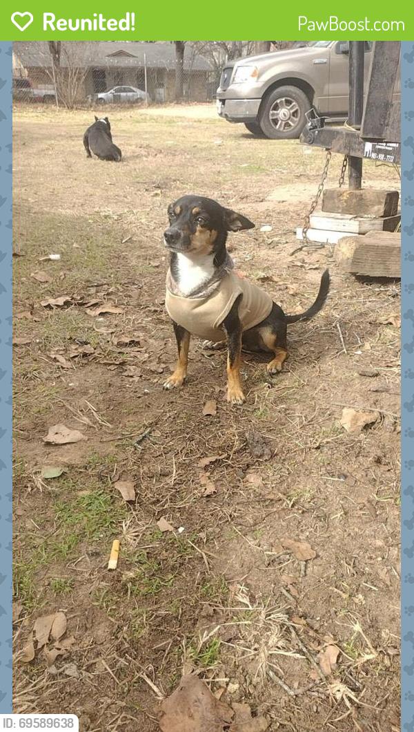 Reunited Male Dog last seen Highway 14, Tyler, TX 75706