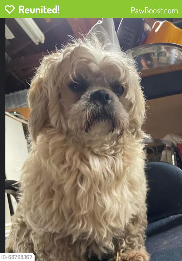 Reunited Male Dog last seen N 20th St, San Jose, CA, USA, San Jose, CA 95112