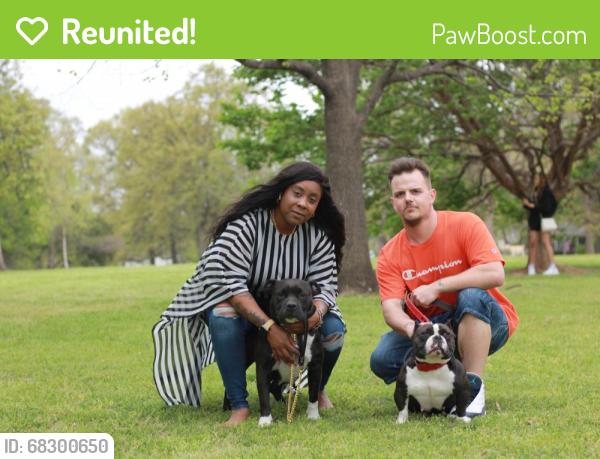 Reunited Female Dog last seen 5th and Marion ave, Tulsa, OK 74112