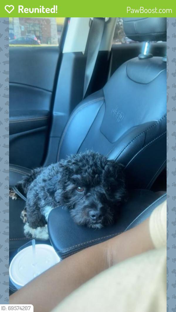 Reunited Male Dog last seen South Meadow , Fort Worth, TX 76133