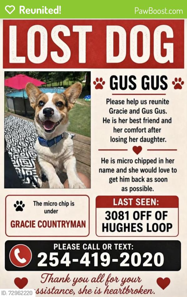 Reunited Male Dog last seen Near and 1725 Hughes loop , San Jacinto County, TX 77378