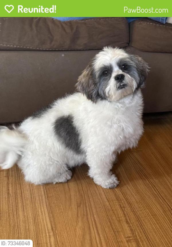 Reunited Female Dog last seen St. louis & Santa Paula, Las Vegas, NV 89104