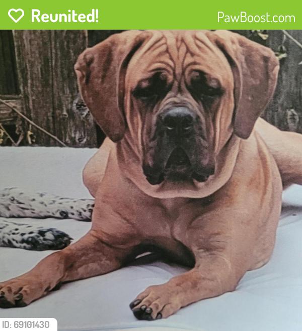 Reunited Male Dog last seen Rawles and Kenmore rd, Indianapolis, IN 46219
