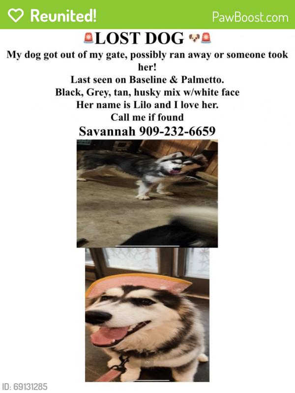 Reunited Female Dog last seen Unsure, Fontana, CA 92335