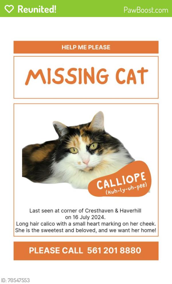 Reunited Female Cat last seen Haverhill and Cresthaven, Lake Worth Beach, FL 33460