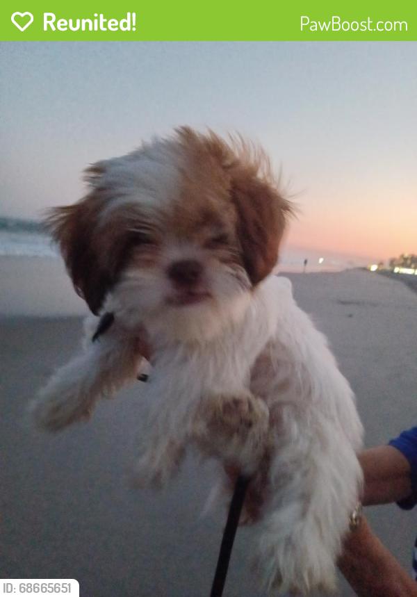 Reunited Male Dog last seen Oak Lynn apar, Philadelphia, PA 19126
