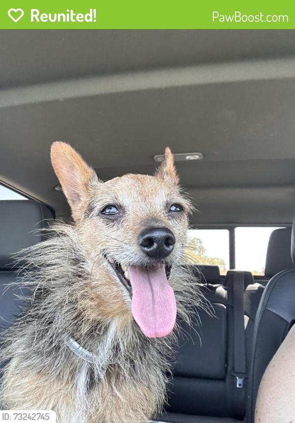 Reunited Male Dog last seen Hulen, Fort Worth, TX 76133