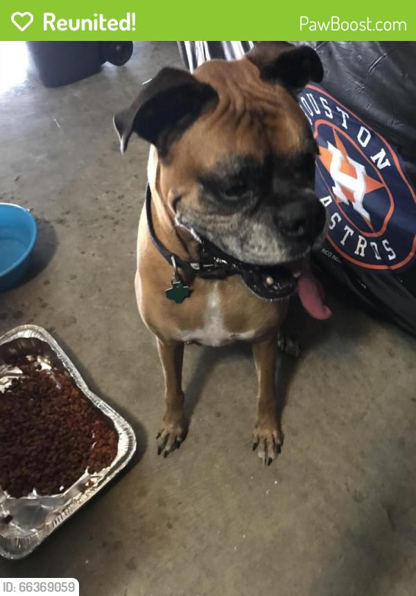 Reunited Unknown Dog last seen Near Acacia Wood Way, Katy, TX 77449