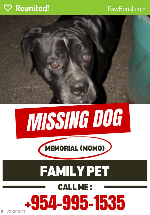 Reunited Female Dog last seen Godfrey Road and Wiles Road, Parkland, FL 33067