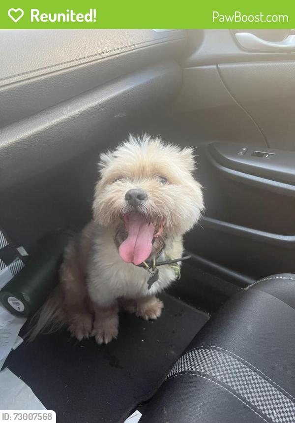 Reunited Unknown Dog last seen Near sands blvd fort worth 76137, Fort Worth, TX 76137