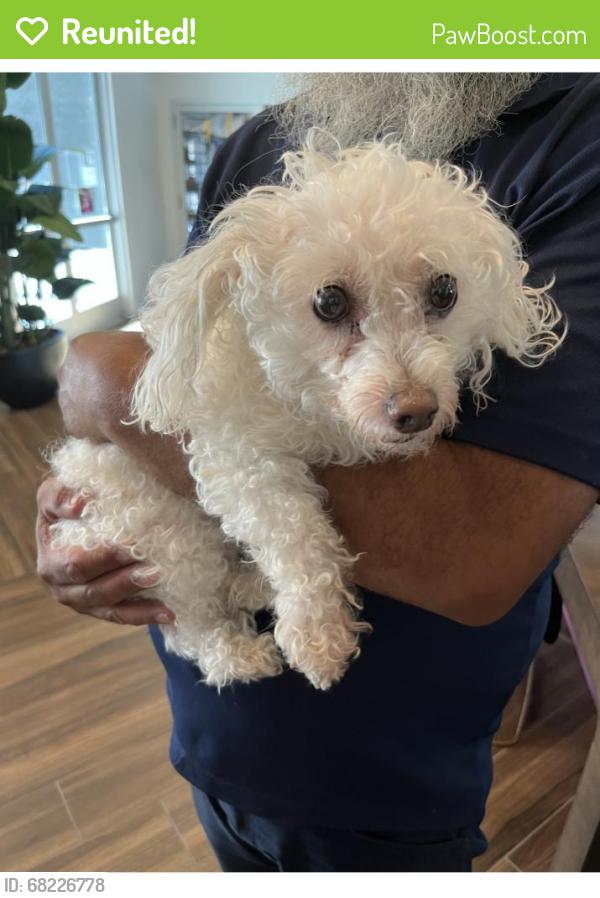 Reunited Unknown Dog last seen Sky Pointe Dr, Las Vegas, NV, USA, Las Vegas, NV 89131