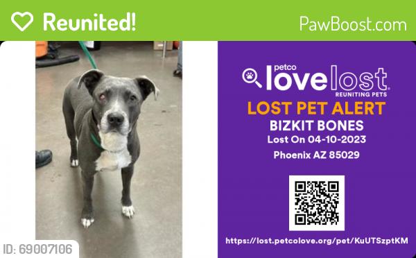 Reunited Female Dog last seen Near W Poinsettia Dr, Phoenix, AZ 85029, USA, Phoenix, AZ 85029