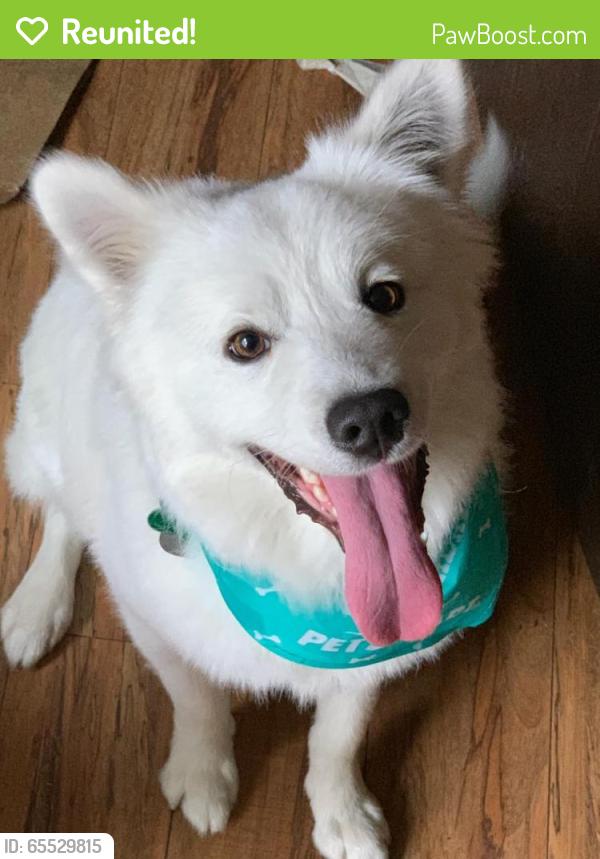 Reunited Male Dog last seen Near Adams St, Glendale, CA 91205
